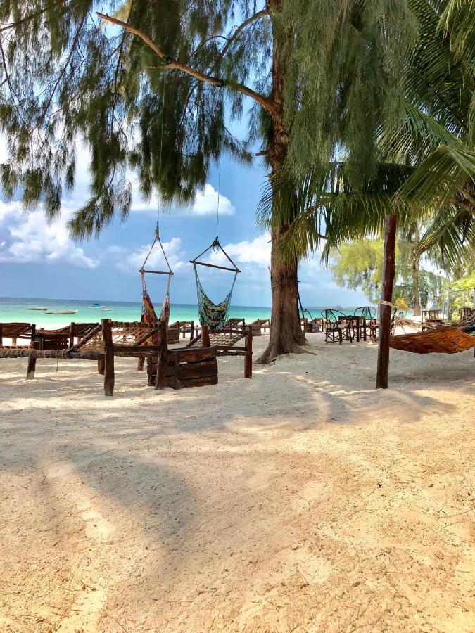 كيوينجوا Simba Beach Zanzibar المظهر الخارجي الصورة