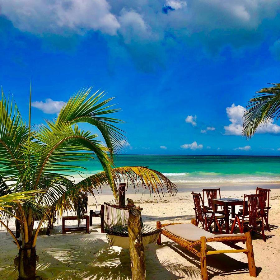 كيوينجوا Simba Beach Zanzibar المظهر الخارجي الصورة