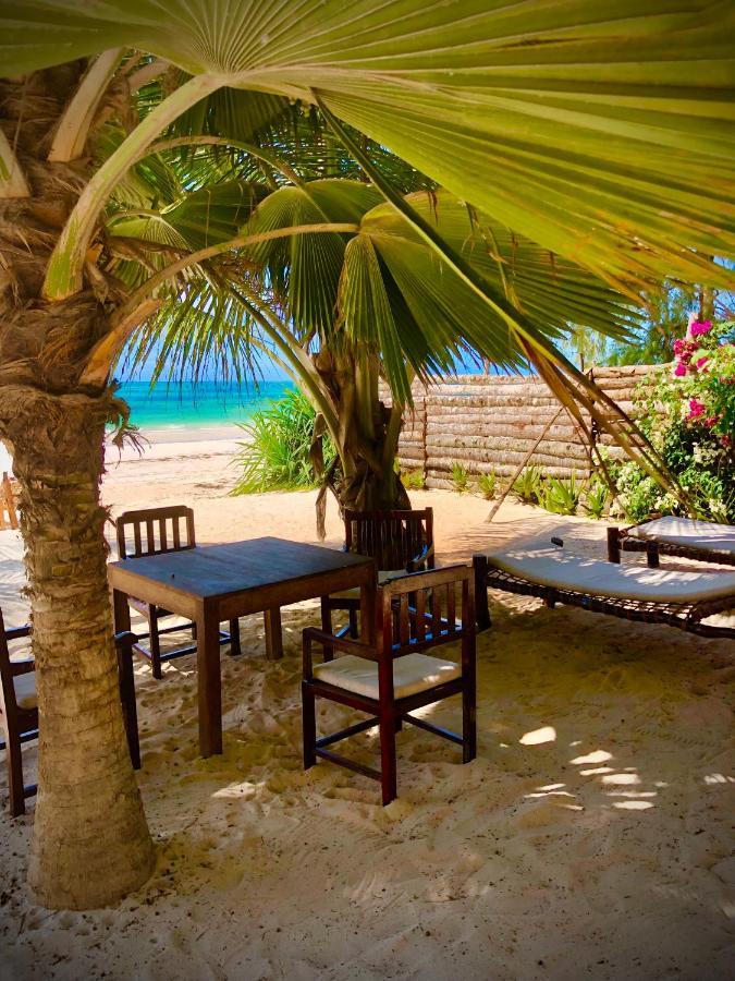 كيوينجوا Simba Beach Zanzibar المظهر الخارجي الصورة