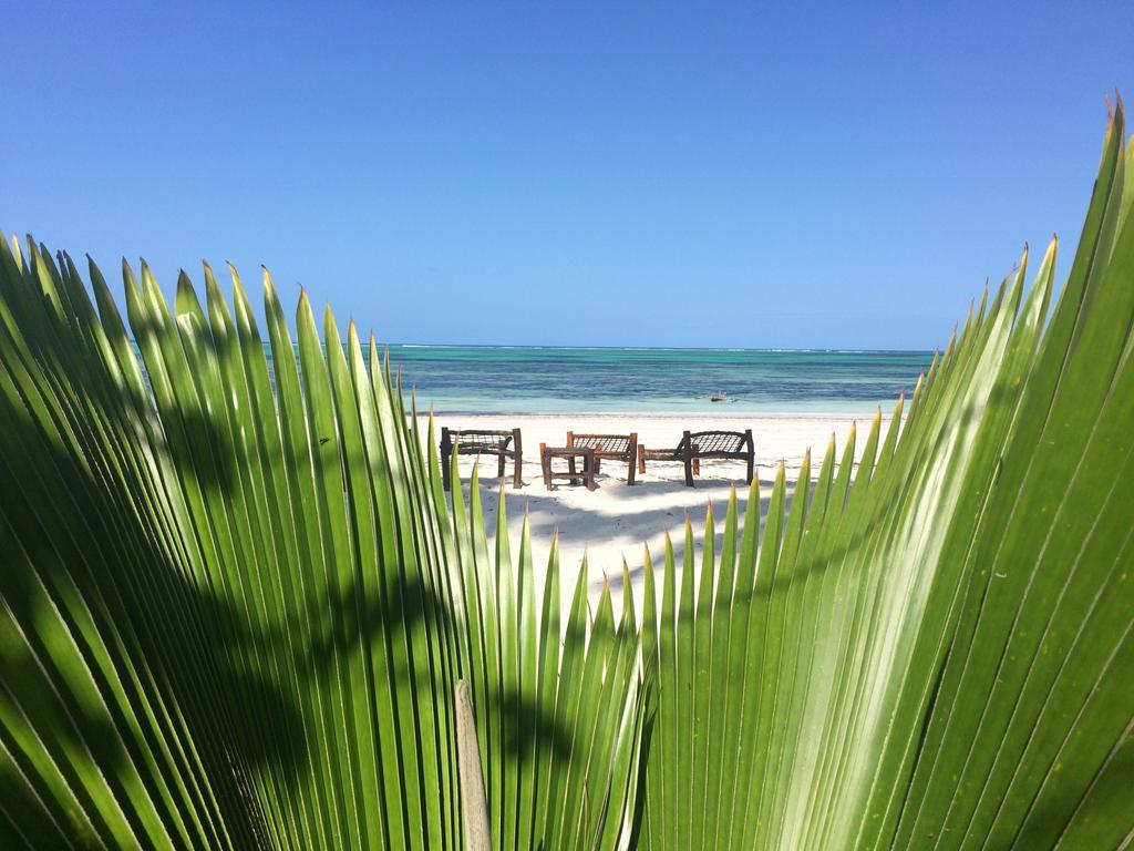 كيوينجوا Simba Beach Zanzibar المظهر الخارجي الصورة