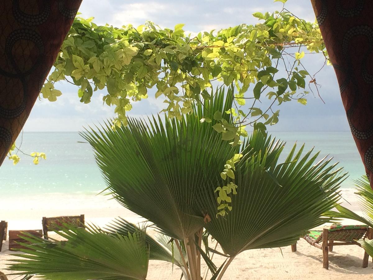 كيوينجوا Simba Beach Zanzibar المظهر الخارجي الصورة