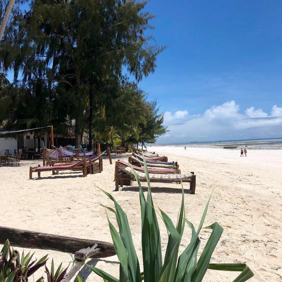 كيوينجوا Simba Beach Zanzibar المظهر الخارجي الصورة